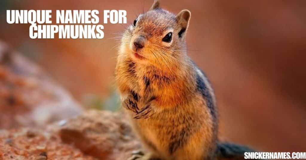 Unique Names for Chipmunks