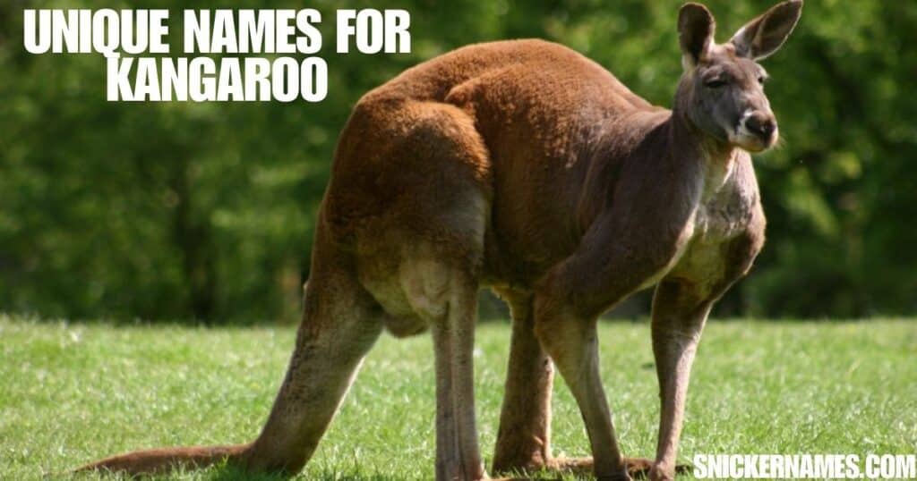 Unique Names for Kangaroo