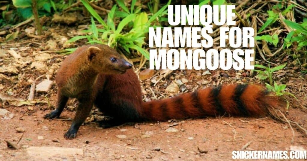 Unique Names for Mongoose