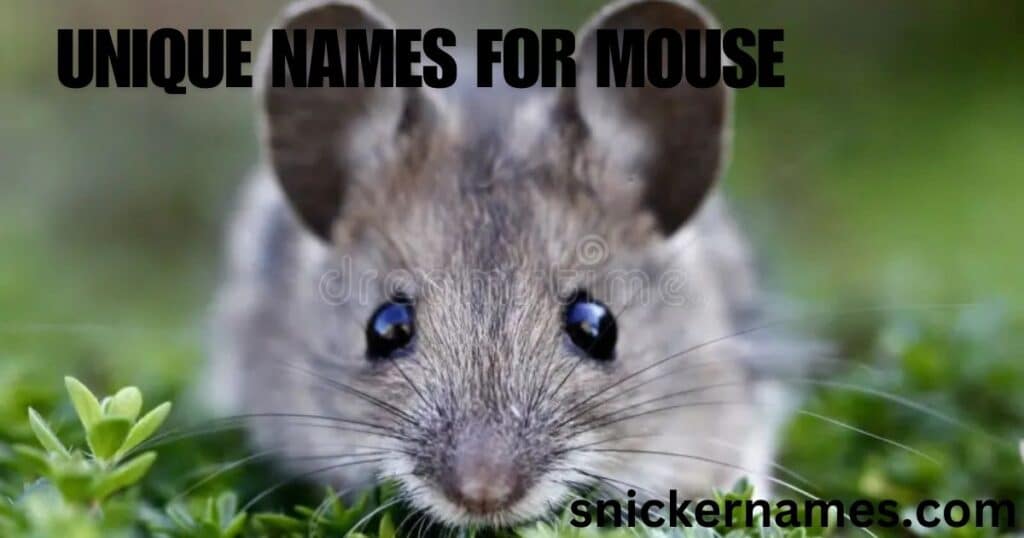 Unique Names for Mouse