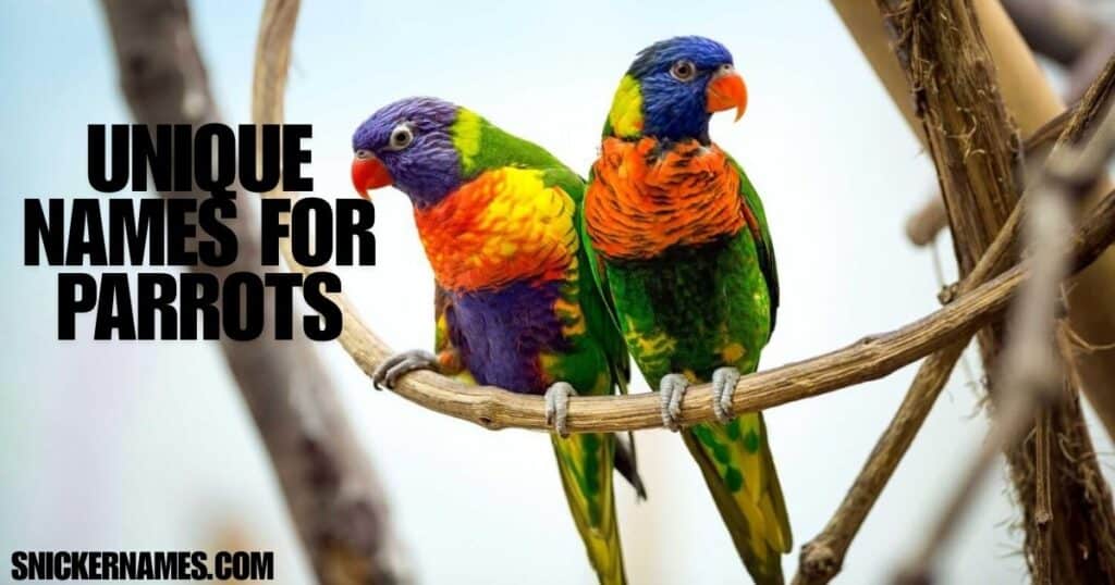 Unique Names for Parrots