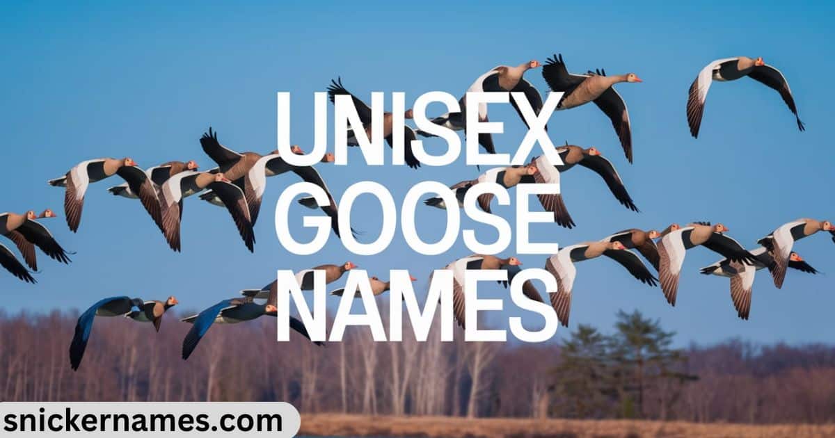 Unisex Goose Names