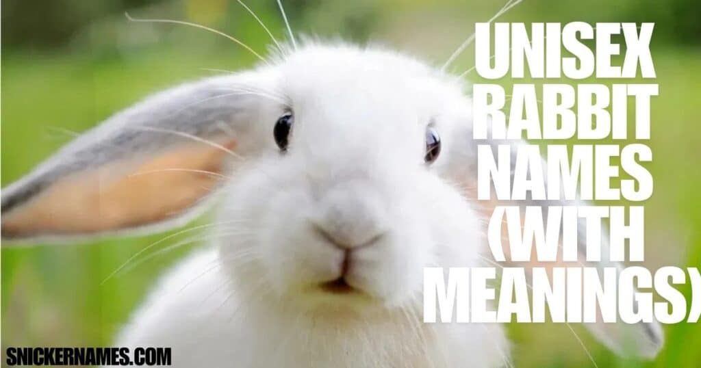 Unisex Rabbit Names (With Meanings)