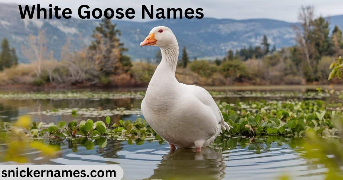 White Goose Names