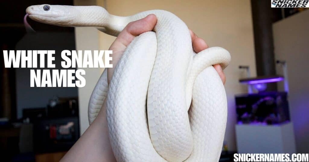 White Snake Names