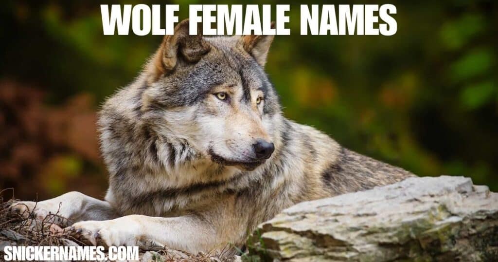 Wolf Female Names