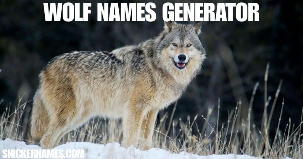 Wolf Names Generator