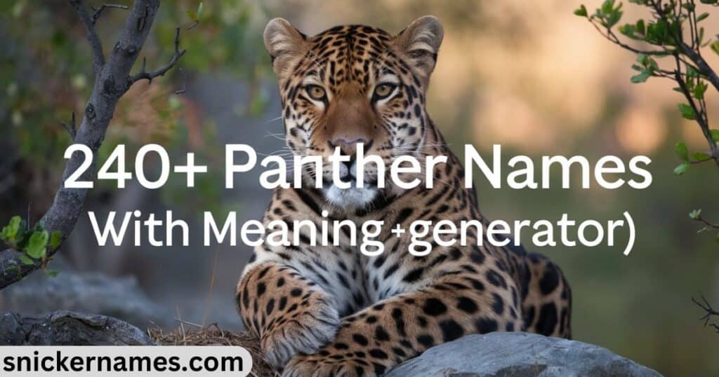 240+ Panther Names With Meaning (+Generator)