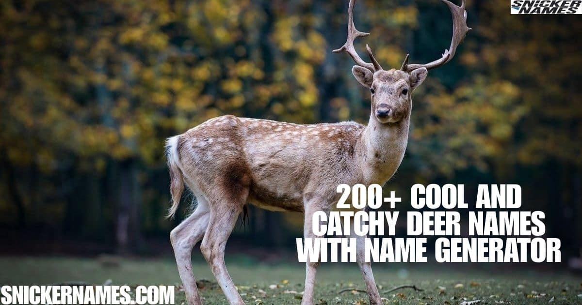 200+ Cool And Catchy Deer Names With Name Generator