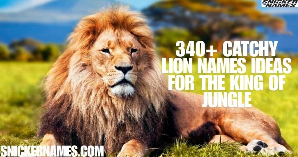 340+ Catchy Lion Names Ideas For The King Of Jungle