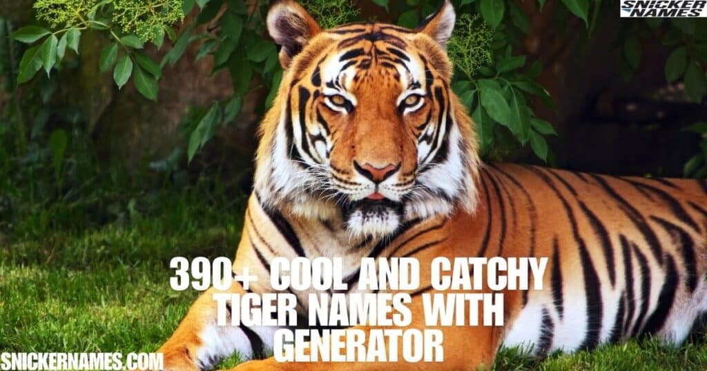 390+ Cool And Catchy Tiger Names With Generator