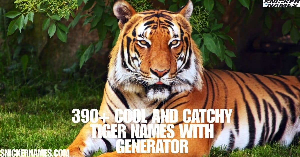 390+ Cool And Catchy Tiger Names With Generator