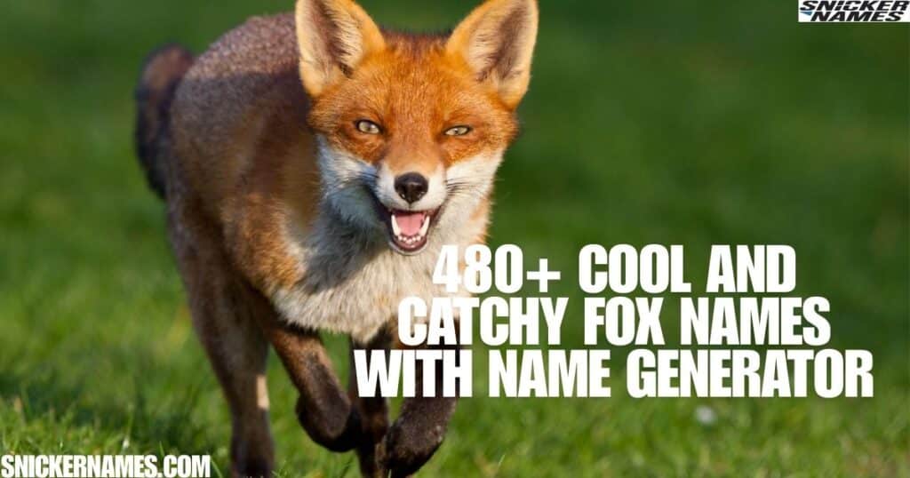 480+ Cool And Catchy Fox Names With Name Generator