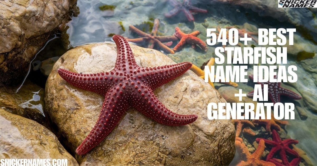 540+ Best Starfish Name Ideas + AI Generator