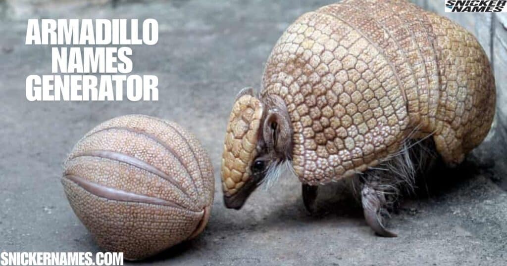 Armadillo Names Generator