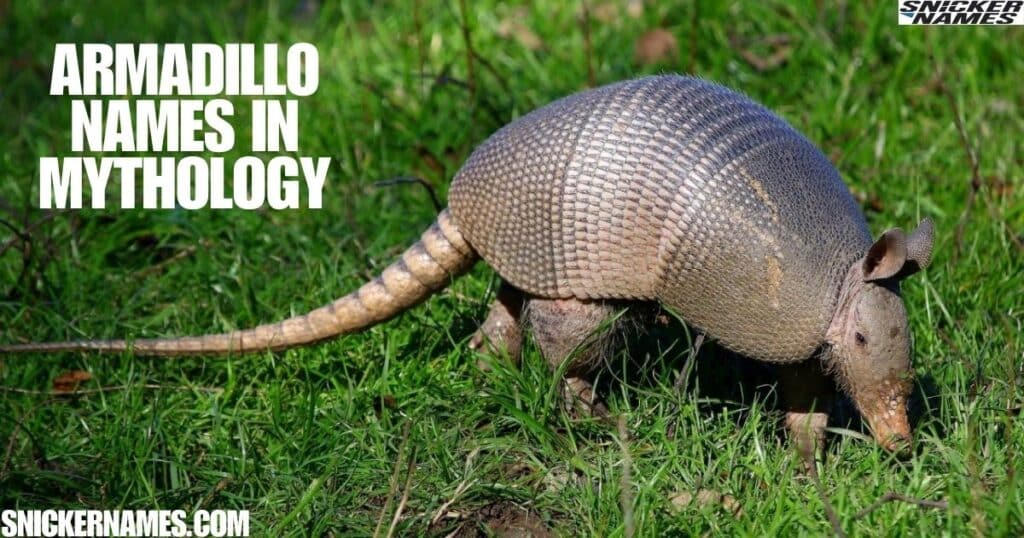 Armadillo Names in Mythology