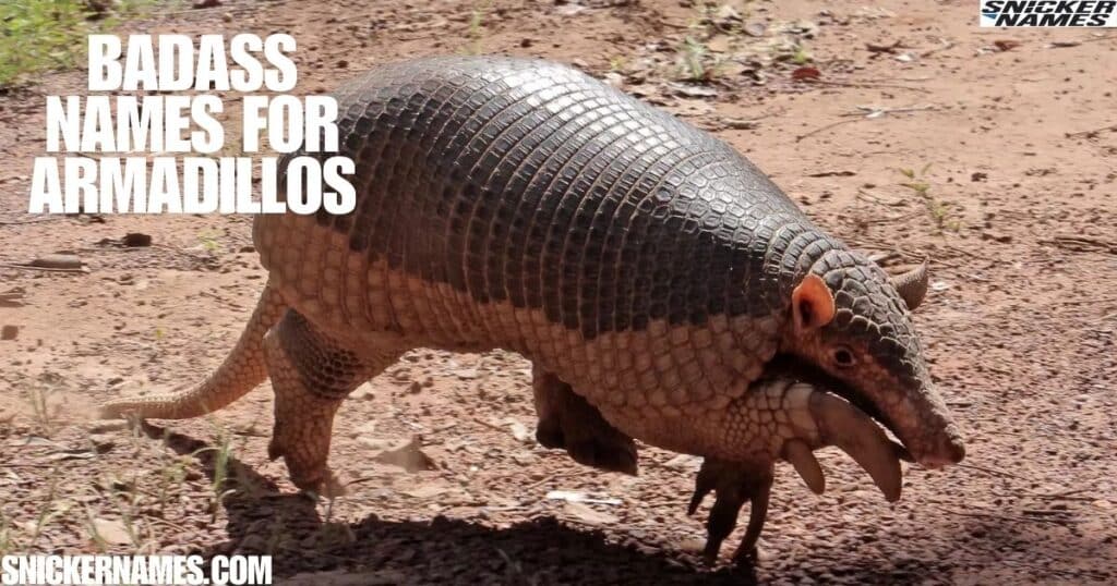 Badass Names for Armadillos