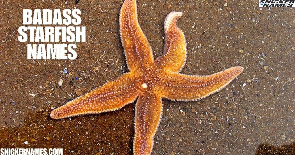 Badass Starfish Names