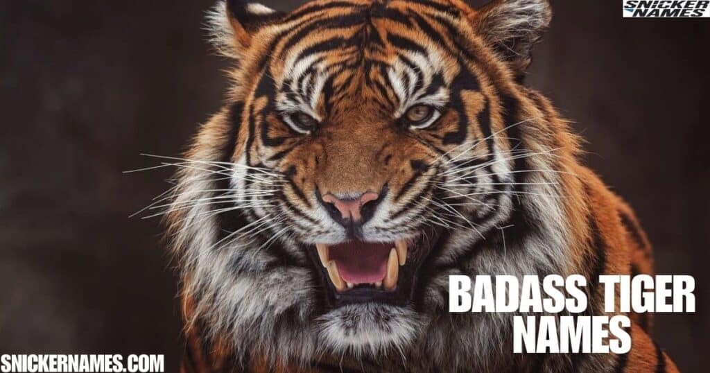 Badass Tiger Names