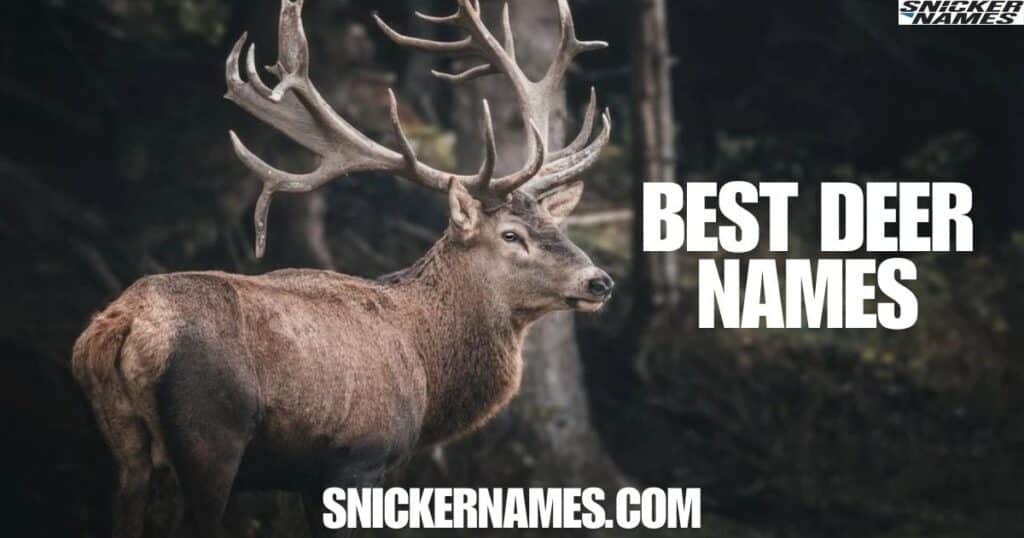 300+ Cool And Catchy Deer Names With Name Generator