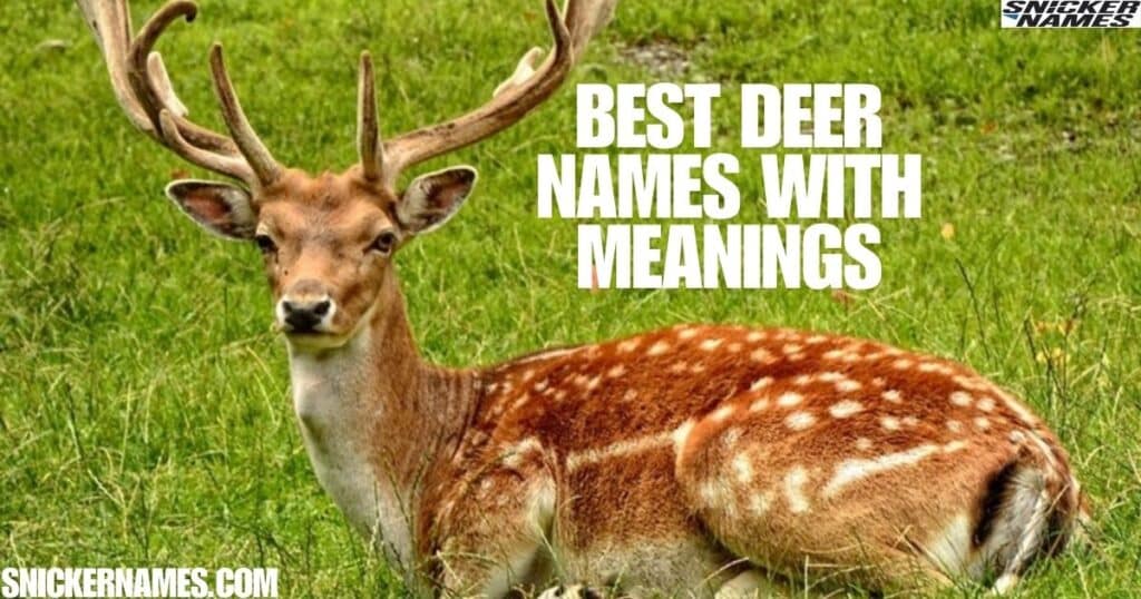 Best Deer Names with Meanings