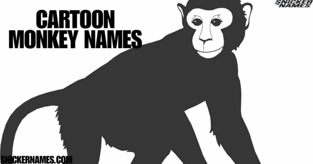 Cartoon Monkey Names