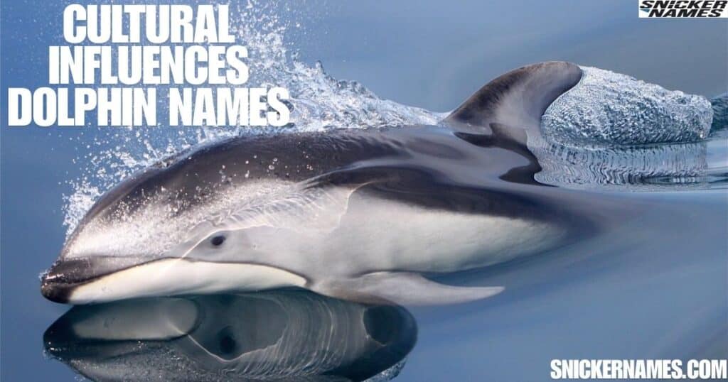 Cultural Influences Dolphin Names