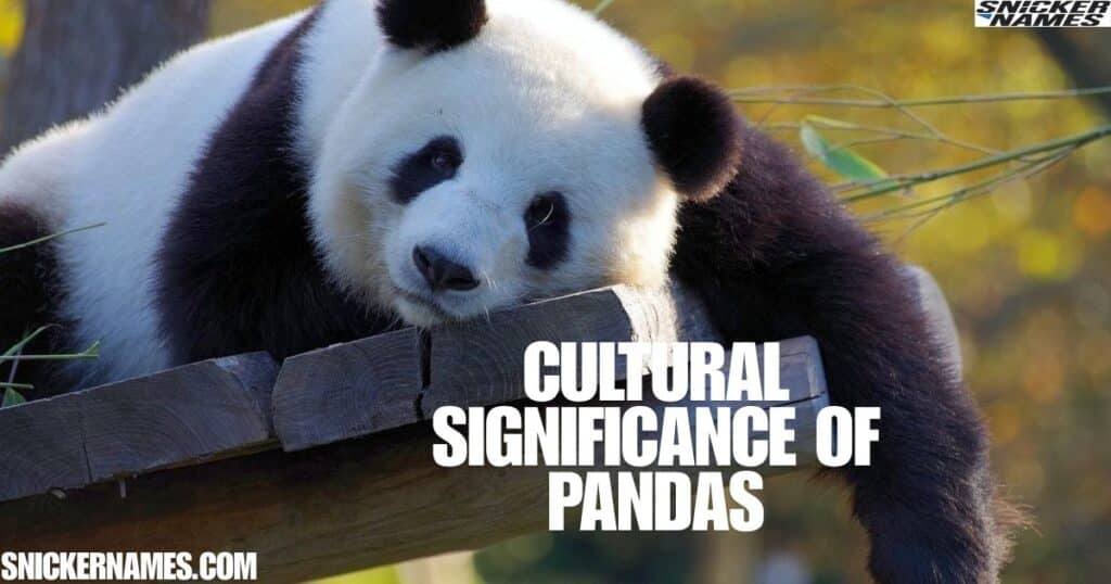 Cultural Significance of Pandas