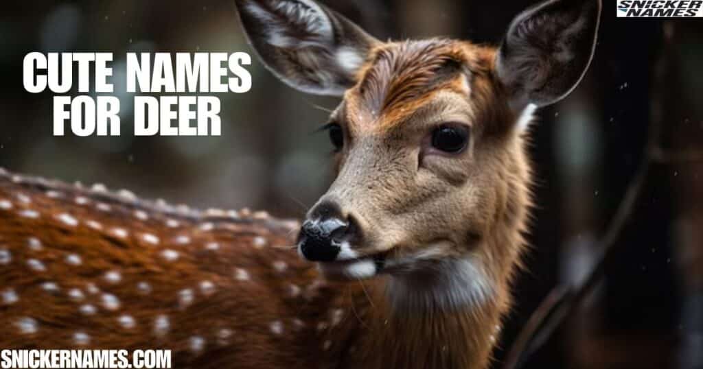 Cute Names for Deer