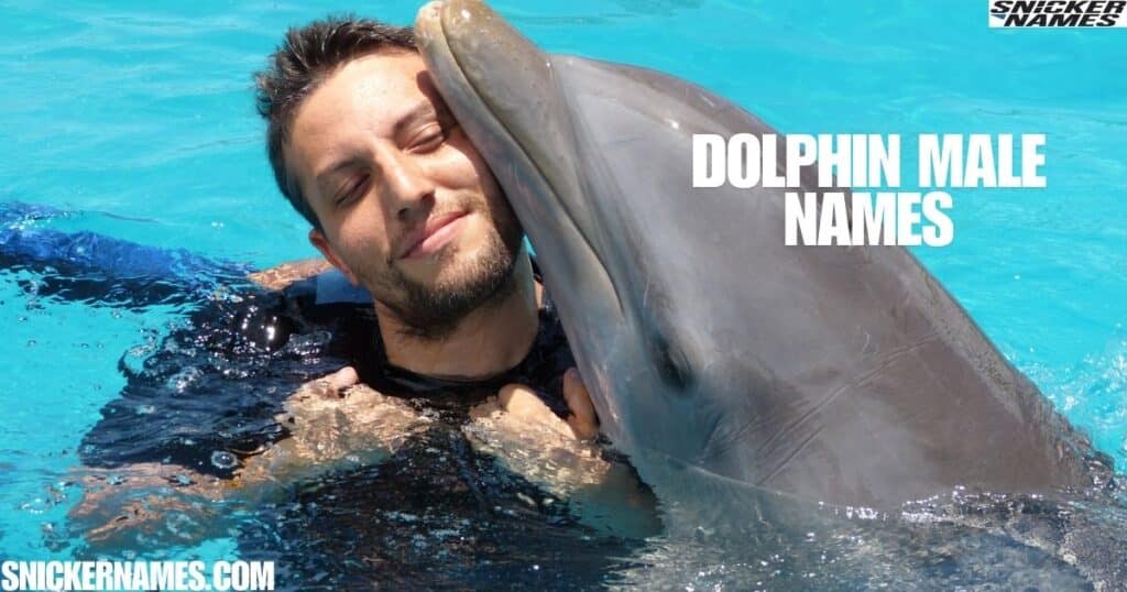 Dolphin Male Names