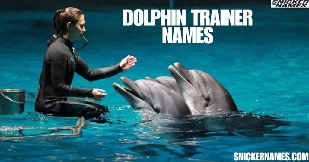 Dolphin Trainer Names