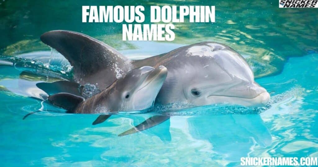 Famous Dolphin Names