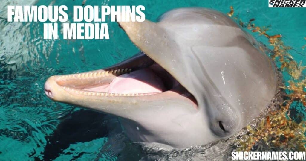 Famous Dolphins in Media