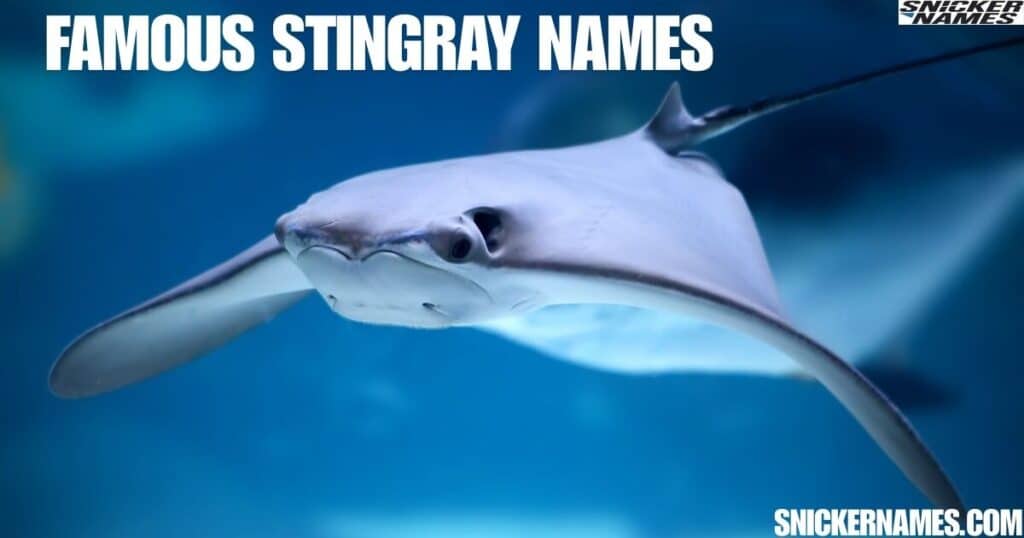 Famous Stingray Names