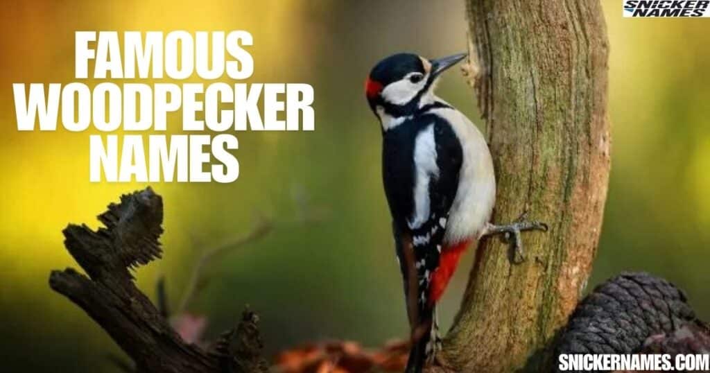 Famous Woodpecker Names