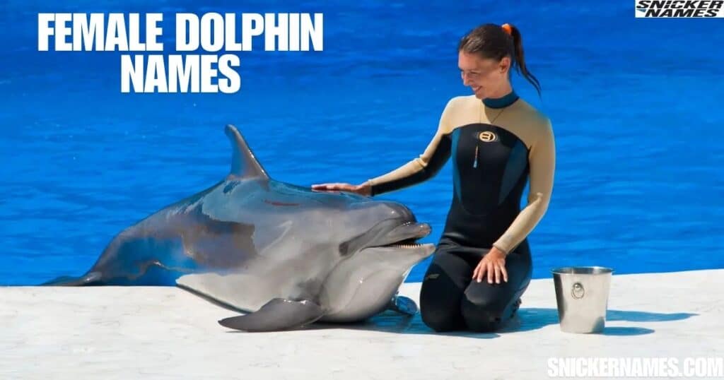 Female Dolphin Names