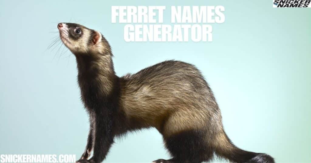 Ferret Names Generator