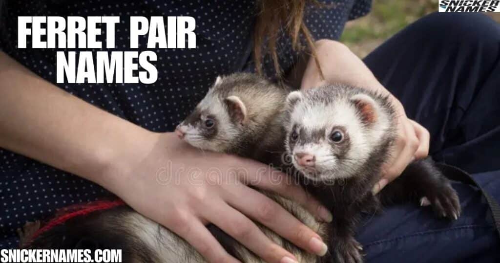 Ferret Pair Names