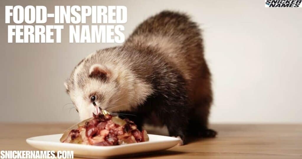 Food-Inspired Ferret Names