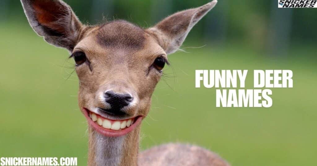 Funny Deer Names