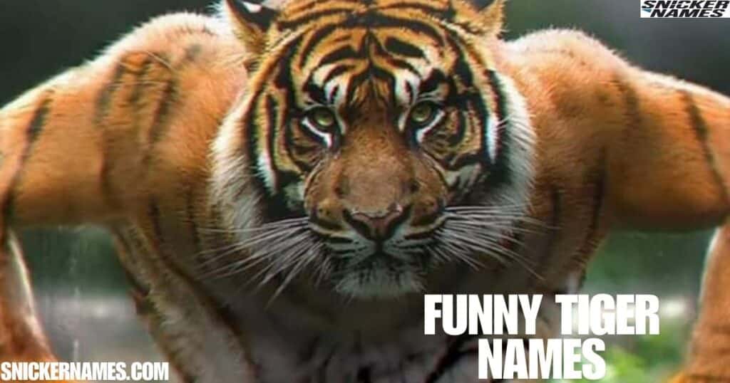 Funny Tiger Names