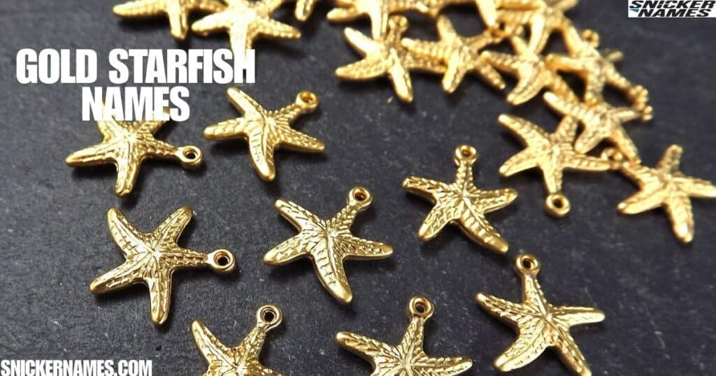 Gold Starfish Names