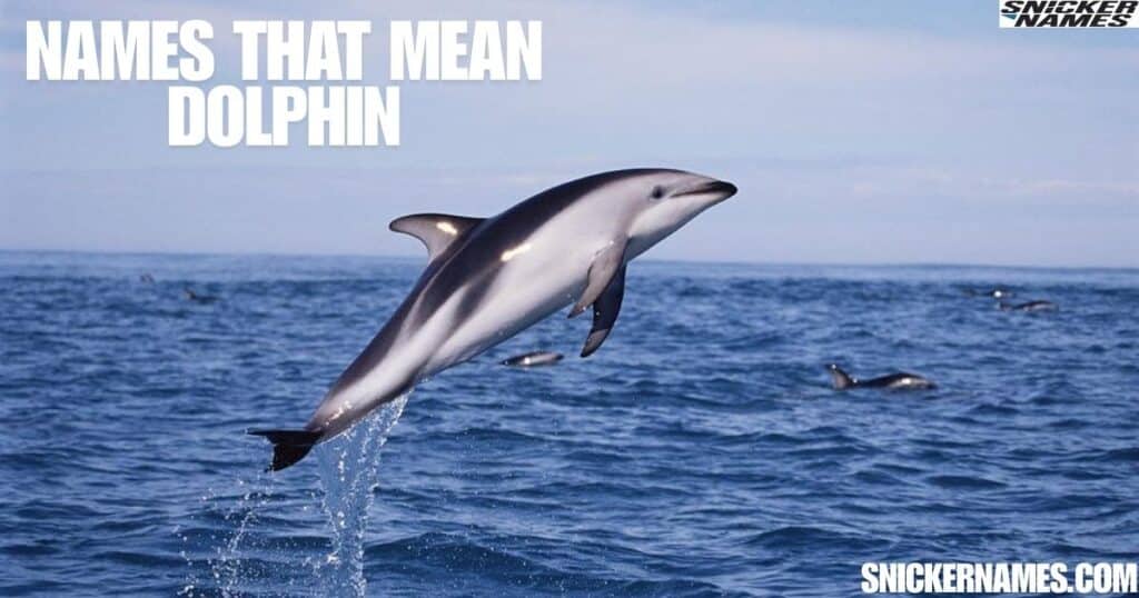 Names That Mean Dolphin