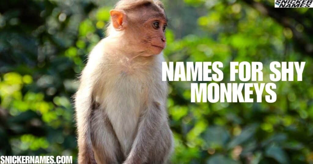 Names for Shy Monkeys