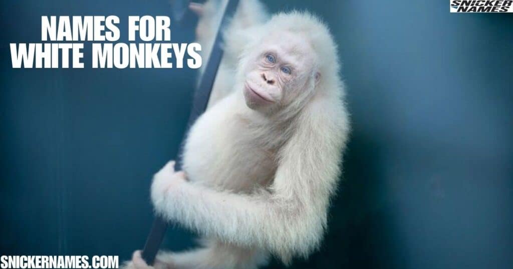 Names for White Monkeys