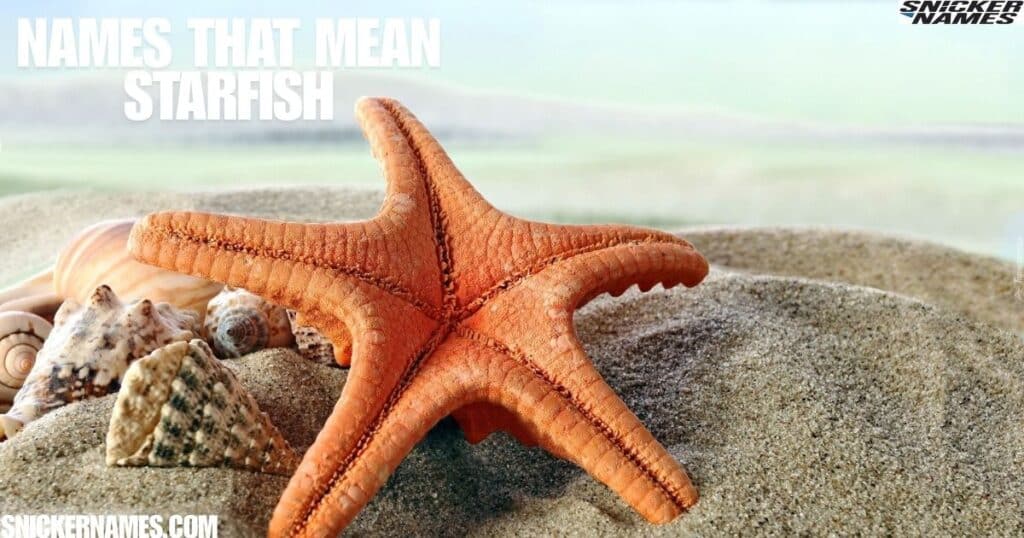 Names that Mean Starfish