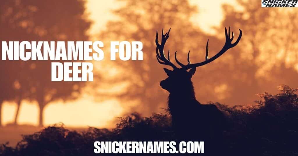 Nicknames For Deer