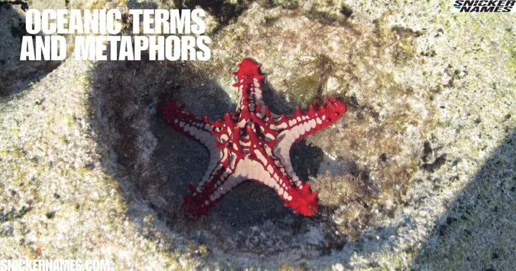 Oceanic Terms and Metaphors