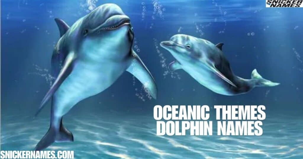 Oceanic Themes Dolphin Names