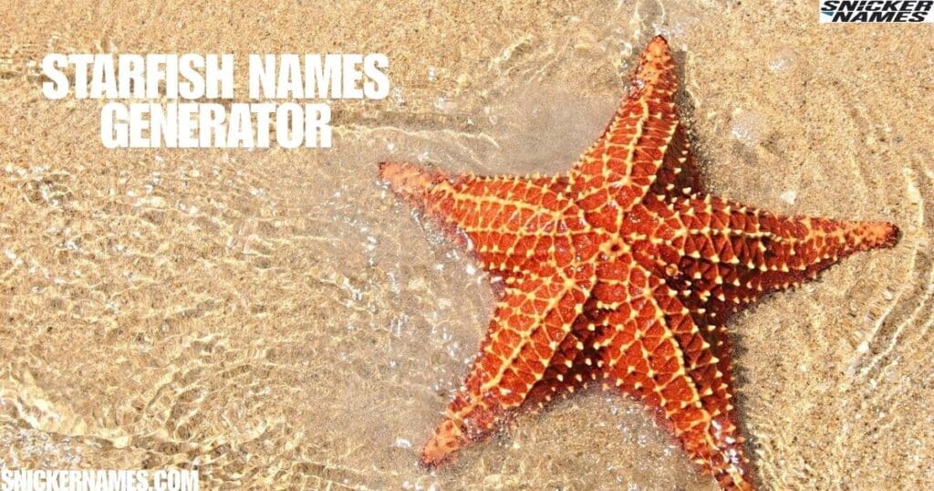 Starfish Names Generator